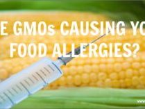 Are-GMOs-Causing-YOur-Food-Allergies-300×157